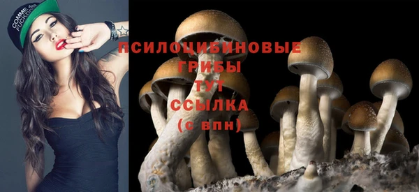 прущие крисы Гусиноозёрск