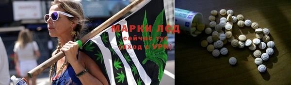 прущие крисы Гусиноозёрск